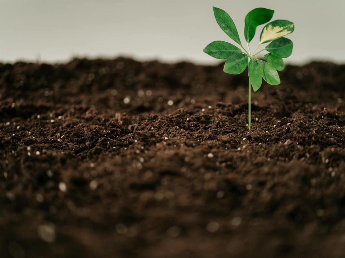 What Makes Your Business Unique? The Question That Separates Growing Companies from Struggling&nbsp;Ones